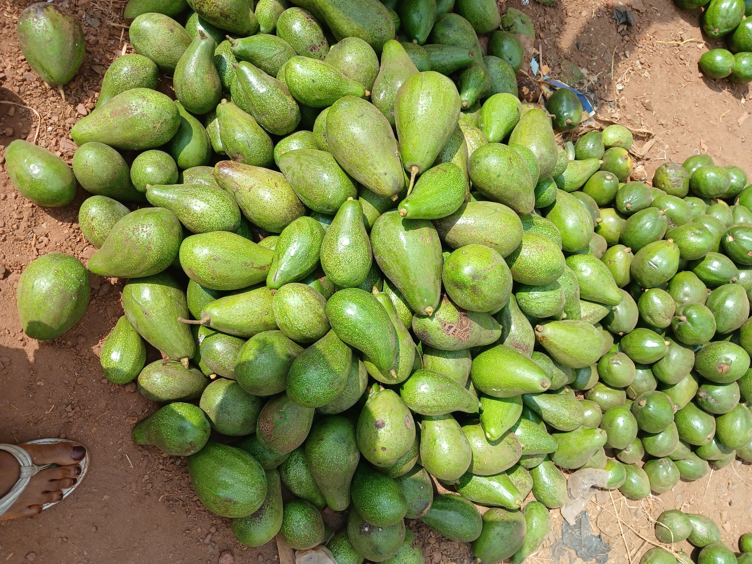Pear